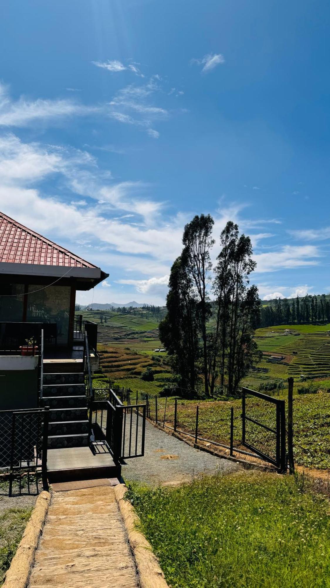 The Wooden Springs Bed & Breakfast อูตี ภายนอก รูปภาพ