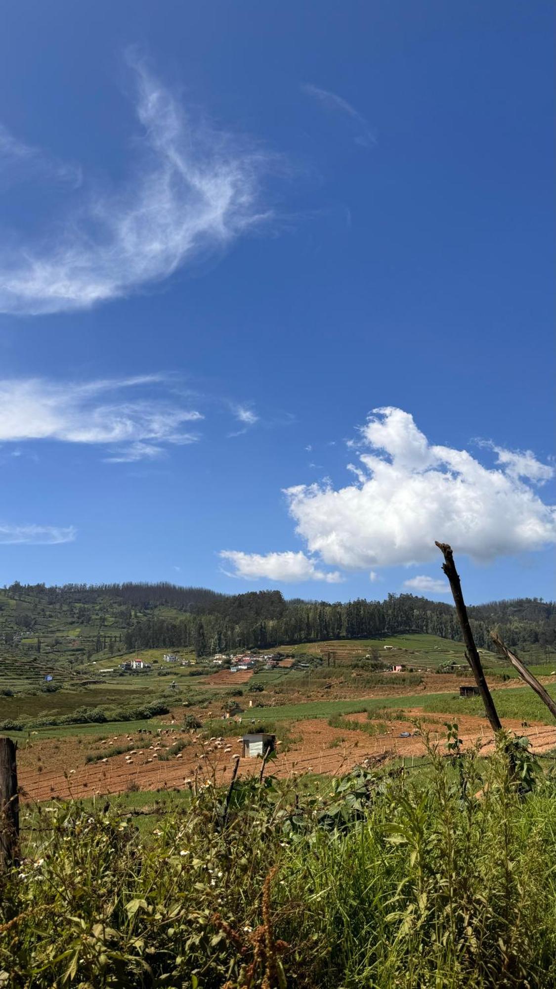 The Wooden Springs Bed & Breakfast อูตี ภายนอก รูปภาพ